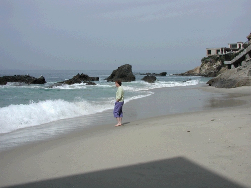 We are not much for swimming in the ocean, although I did get my feet wet!