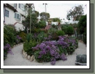 To get to the cove, you walk down the stairs from the street and through this beautiful garden to some more stairs below.