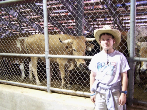 Clark, the future rodeo bull rider?