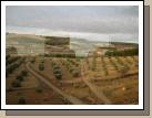 Views from the Cuenca train. I love the colors of the soil contrasted against the green fields. Note the baby olive trees. 