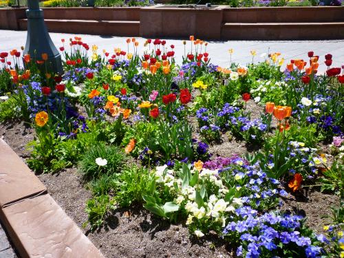 The flowers on Temple Square are always so  beautiful!  If I had professional gardeners and a big budget I would have a beautiful yard too!