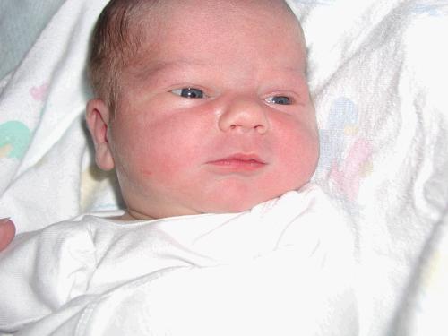 Little Andrew Parberry Morgan arrived on the scene on Wed. August 27, 2003 at about 6:07 pm. He weighed 9 lbs. 4 oz and measured 22" long!