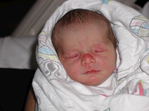 Welcome to the world, Karen Marie Crapo!  She was born Saturday, August 30, 2003 at about 11:15 pm, weighing 6 lbs 8 oz.