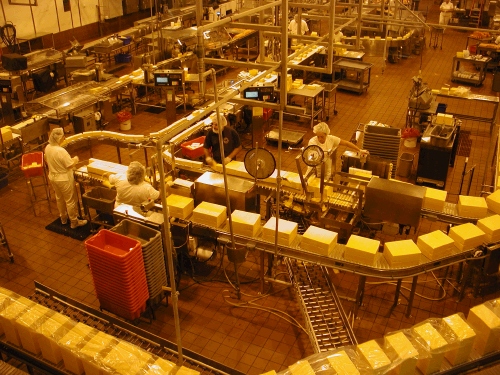 All the Tillamook cheese is made right here.  It made me hungry just to watch.  Good thing they gave out samples!