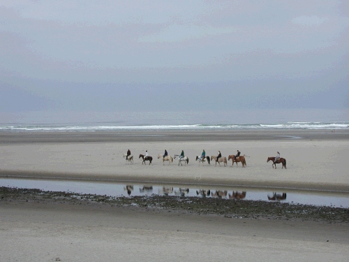 Back up at Cannon Beach, another photo of the horses.