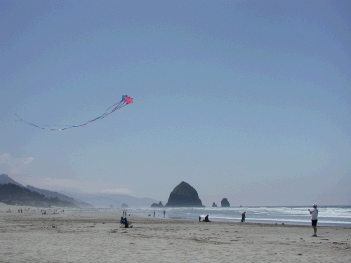 And they are up!  You probably didn't know that Alan is a very talented kite flyer.