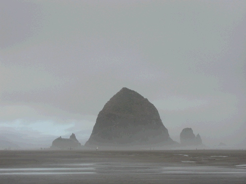 Our last morning, we walked to Haystack Rock one more time.  It is very cool in the morning mist.