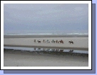 Back up at Cannon Beach, another photo of the horses.