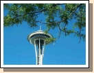 The famous Space Needle.