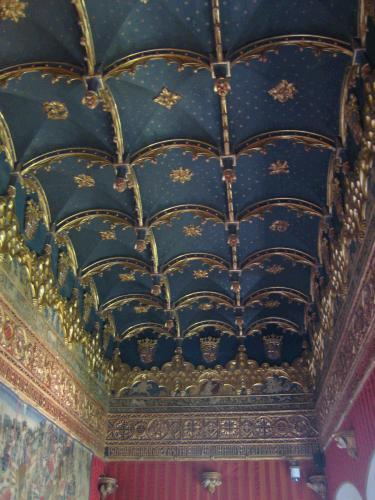 Other castles and palaces have had beautiful ceilings, but not nearly so many carved, 3D-type ones as Segovia.
