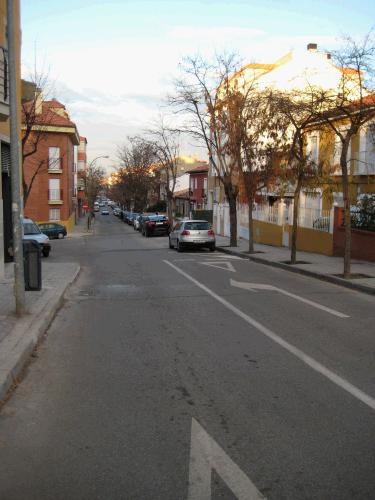 The street we live on (C/ Abdn Bordoy). Our house is on the right, behind the trees.