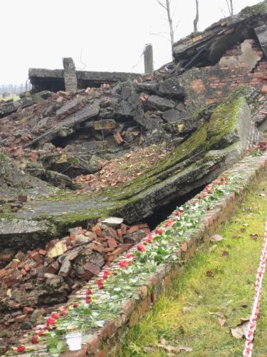 This is right next to the remains of a gas chamber.  Some group had come in and lined the bricks with roses which I thought was really moving, so I took some pictures.