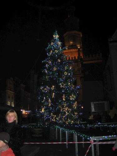 Christmas Tree in the rynek.