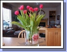 Our spectacular tulips from Costco...