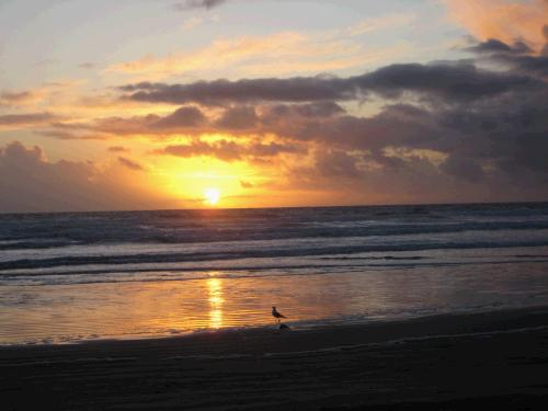 We were happy to get a sunset on the beach.