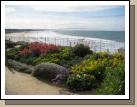 The landscaping around our cottage was beautiful.  I love seeing stuff in bloom in February.  If you look hard, you can see the pier down the beach.