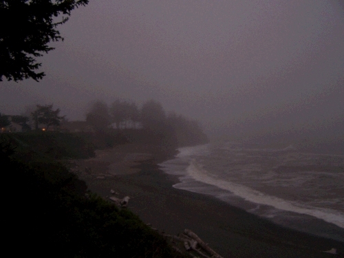 Just how cool is fog -- especially in the evening.