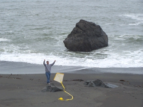 The sad attempt to fly the kite with not enough wind.