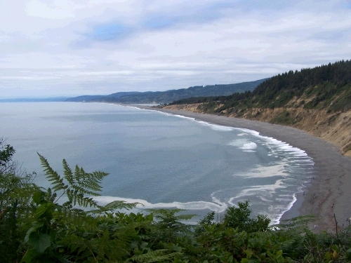 Beautiful Agate Beach is a short distance from Patrick's Point and the Wedding Rock.