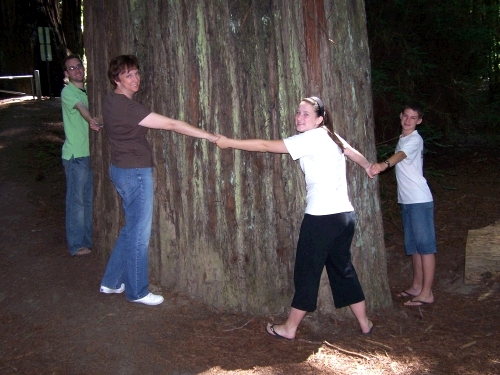 It took all 7 of us to get around this tree.