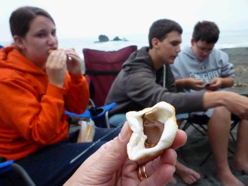 Instead of the usual S'more, we have branched out by putting small pieces of various types of chocolate in the center of the marshmallows.  We had only tried a regular Hershey bar in the past -- this time we put in small pieces of a Reese's Peanut Butter Cup and we even tried a Rollo.  Out of S'mollos and S'meeses, everyone decided S'meeses were the best!