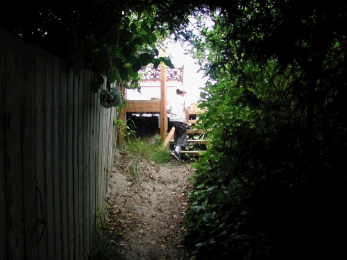 The secret path from our house to the beach...