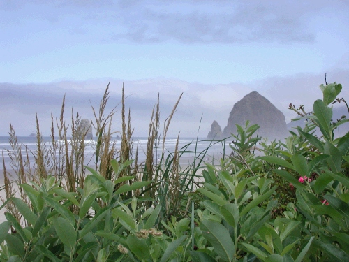 An attempt at an artistic photo of Haystack Rock.