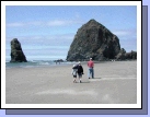 It actually took about 15-20 minutes to walk from our beach house to Haystack Rock.