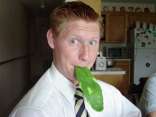 Loren and Elder Jensen at Sister Alaniz's house having fun with Nopales -- edible cactus leaves.