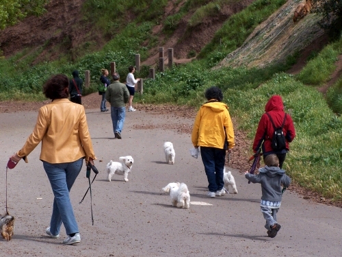 This picture is for Jessica's mom Bonnie.  While we were up there, people came by with 4-5 little white Bichon Frise dogs -- they were very cute.