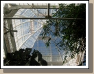 The very cool dome roof of the conservatory.  Occassionally while we were looking around at all the flowers, mist would start spraying everything including us --- kind of like at the grocery store in the produce department!