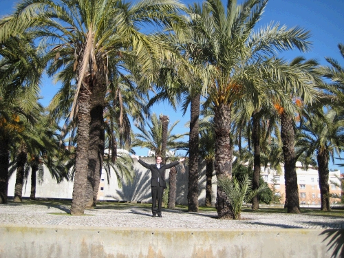 Palm trees of Badajoz.