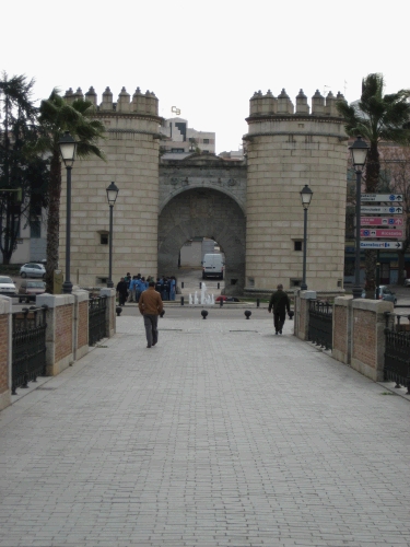 A cool sight in Badajoz.  The towers are called Puerta de Palmas.