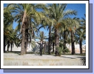 Palm trees of Badajoz.