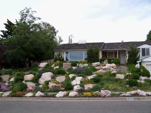 This picture is for my siblings to see how great the yard looks at the Eiler's old house.  Unfortunately, the yard at our old house looks terrible -- so no photo...