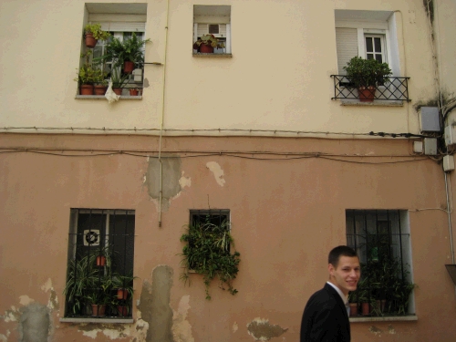 They love their plants here -- a lot of windows look like this.