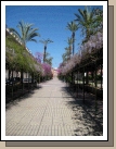 Badajoz in the springtime.