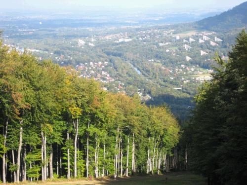 A branch activity where we hiked up a ski hill -- not too fun, but once we got to the top it was beautiful!  Kind of reminded me of Park City.