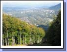 A branch activity where we hiked up a ski hill -- not too fun, but once we got to the top it was beautiful!  Kind of reminded me of Park City.