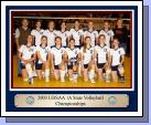 The Waterford Volleyball team surprised everyone (including themselves) by going all the way to the championship game for Utah 1A Volleyball. They ended up taking 2nd in the state. Tess is #3, the third from the left on the front row.