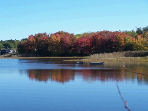 Some beautiful Fall Foliage.