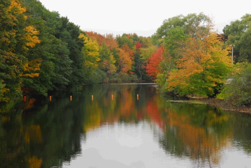 More fall foliage -- Thomas took these...