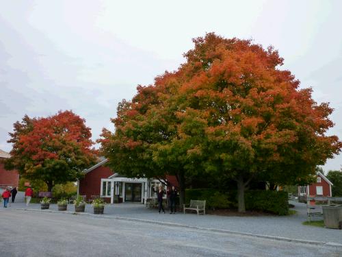 If you find yourself in Vermont, take a day and visit the Shelburne Museum.  Located in Vermont's scenic Lake Champlain valley, Shelburne Museum is one of the nation's finest, most diverse, and unconventional museums of art and Americana. Over 150,000 works are exhibited in a remarkable setting of 39 exhibition buildings, 25 of which are historic and were relocated to the Museum grounds. 