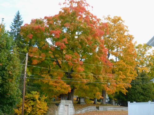 A couple of pretty trees in the cemetery in Bedford NH, close to Melora's home.  I got there about a week or ten days before the color was peaking...