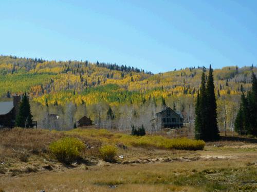 It was pretty, but I think we had already missed the leaves really "peaking."