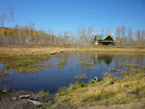 There was a pretty pond right next to the property with ducks that swam away when we tried to feed them -- silly ducks!